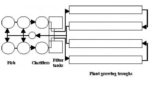 Aquaponics Mission 2014 Feeding the World